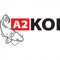 A2koi logo