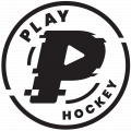 PlayHockey.shop logo