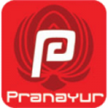 Pranayur.nl logo