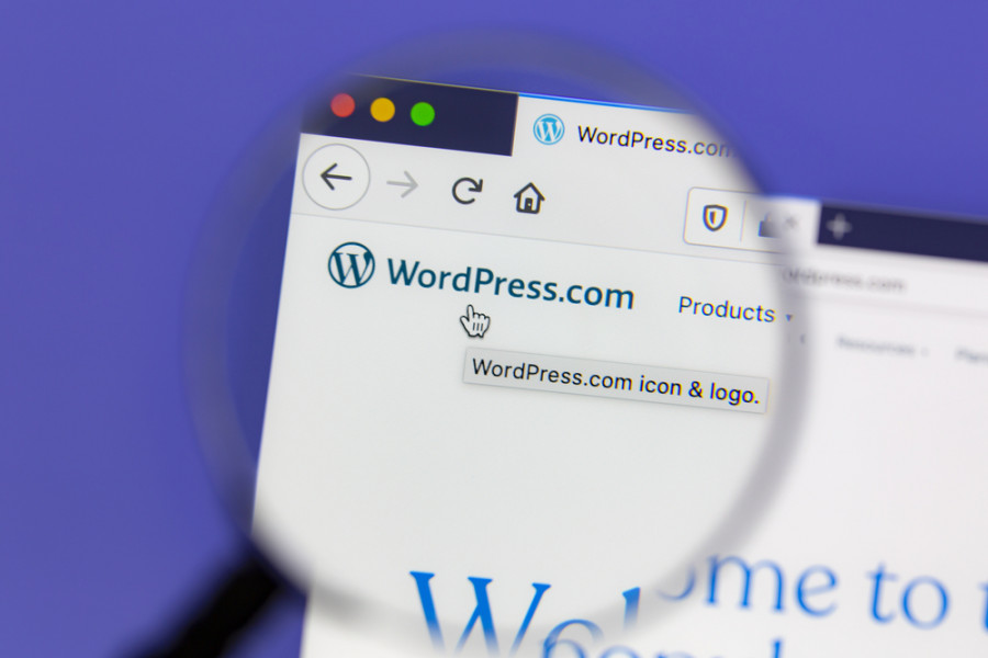 6 redenen om Wordpress te gebruiken voor je bedrijf